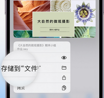 巴宜apple维修中心分享iPhone文件应用中存储和找到下载文件