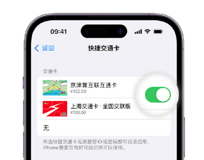 巴宜apple维修点分享iPhone上更换Apple Pay快捷交通卡手绘卡面 