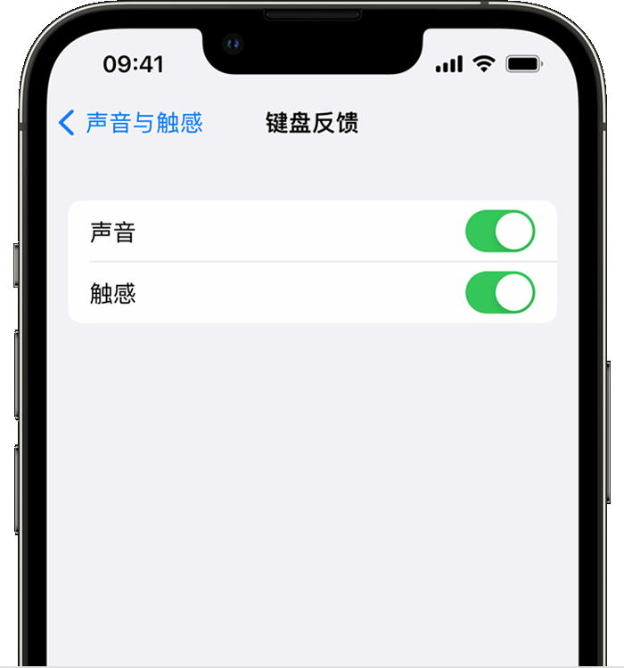 巴宜苹果14维修店分享如何在 iPhone 14 机型中使用触感键盘 