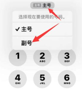 巴宜苹果14维修店分享iPhone 14 Pro Max使用副卡打电话的方法 