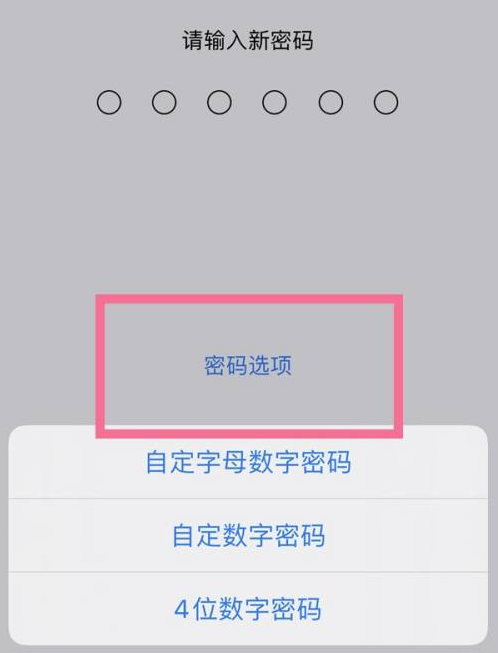 巴宜苹果14维修分享iPhone 14plus设置密码的方法 