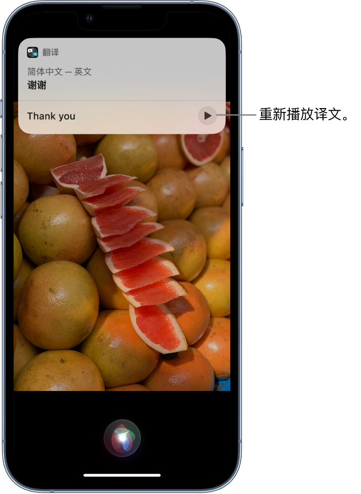 巴宜苹果14维修分享 iPhone 14 机型中使用 Siri：了解 Siri 能帮你做什么 