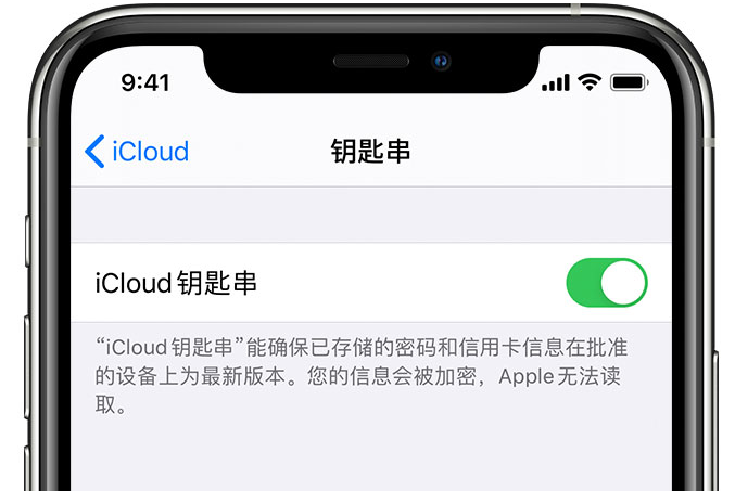 巴宜苹果手机维修分享在 iPhone 上开启 iCloud 钥匙串之后会储存哪些信息 