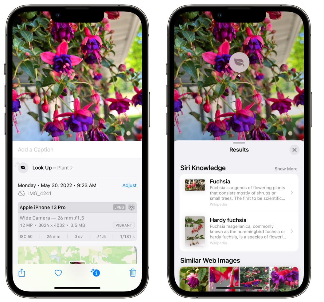 巴宜苹果手机维修分享小技巧：使用 iPhone 相机识别花卉植物 