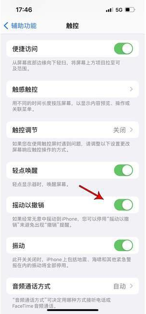 巴宜苹果手机维修分享iPhone手机如何设置摇一摇删除文字 