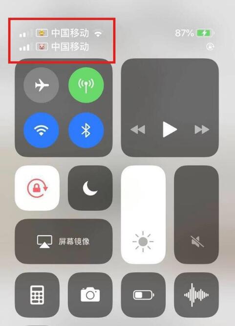 巴宜苹果手机维修分享为 iPhone 12 双卡设置标签 