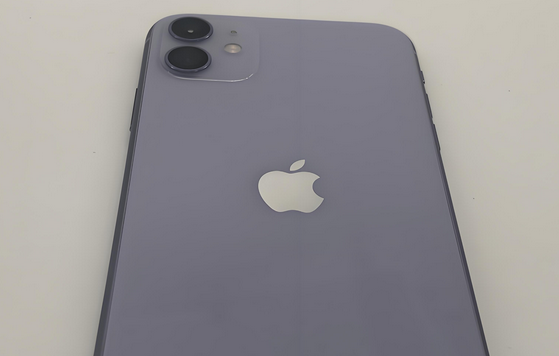 巴宜苹果11系统维修分享iPhone11手机系统崩溃无法开机如何解决